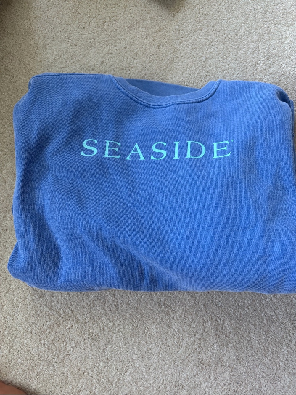 Seaside Women's Crewneck Sweatshirt in Blue